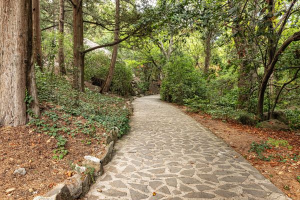 Stone Walkway Repair in Tampa