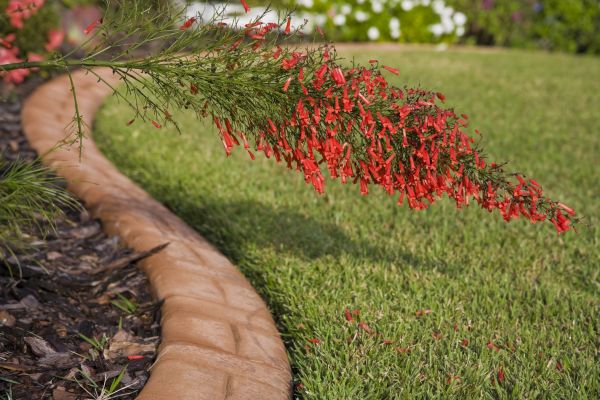 Brick Edging in Tampa