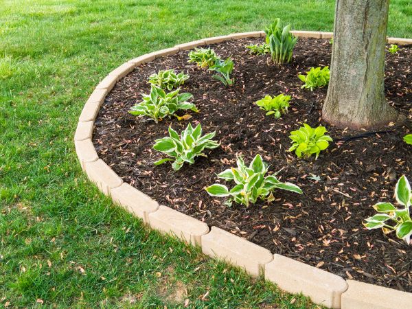 Stone Border Installation in Tampa