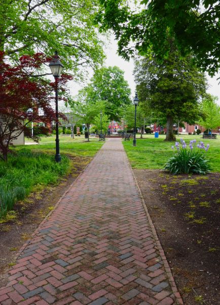 Brick Pathway Repair in Tampa