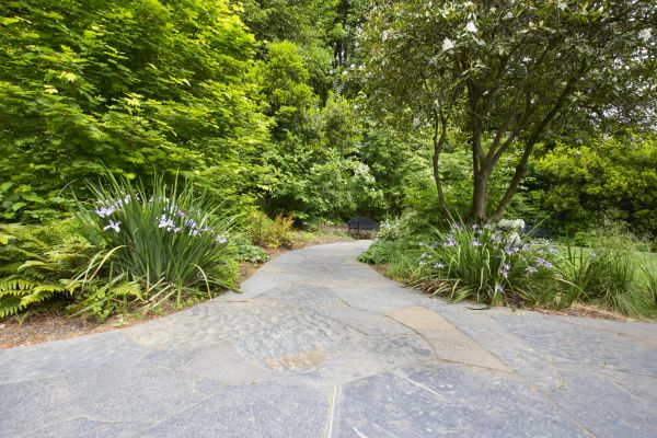 Stone Hardscape Service in Tampa