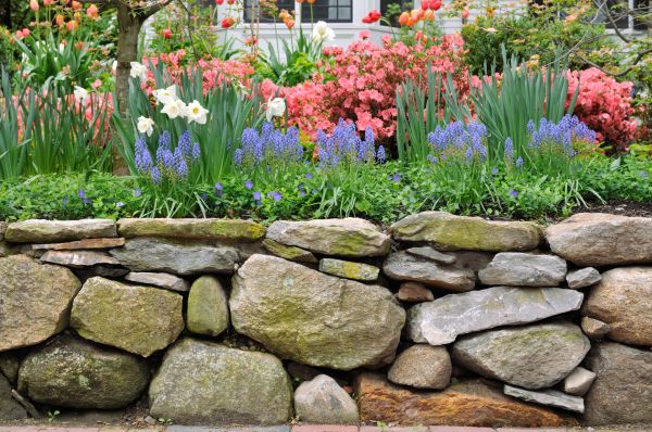 Garden Wall Installation in Tampa