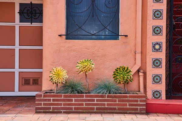 Brick Planter Installation in Tampa