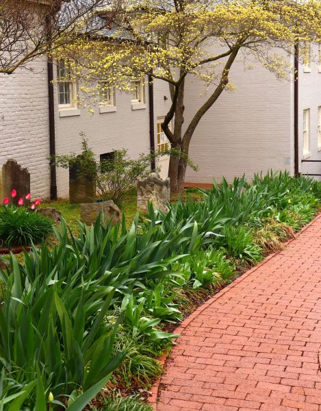 Brick Flatwork Repair in Tampa